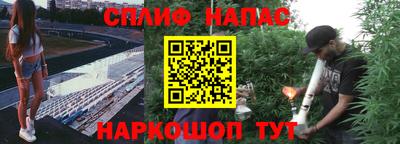 ешки Аргун