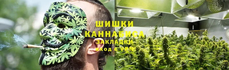 купить наркотик  Асбест  Бошки Шишки THC 21% 